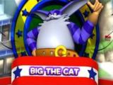 Big The Cat